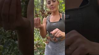 IS IT AN ANIMAL OR A FRUIT?😨   #bushcraft #survival #survivalskills #solocamping #asmr #dog