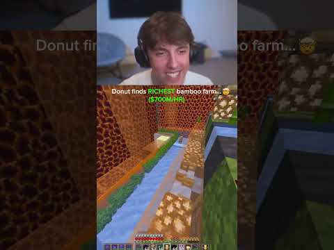 Insane bamboo farm....