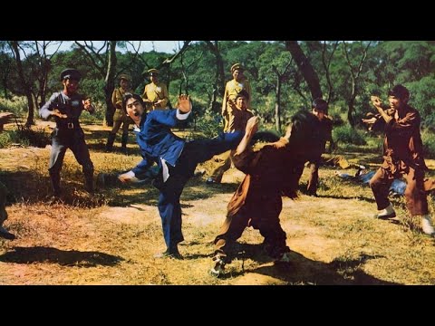 Les Cascadeurs du Kung-Fu