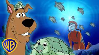 Save the Turtles! 🐢🌎 | What's New, Scooby-Doo? | #KidsCartoons @wbkids​