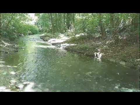 razix x resin - in the night