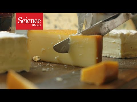 Ancient switch to soft food made saying those "f" words easier