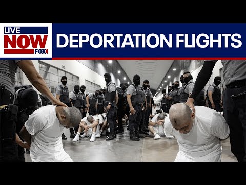 Video | Trump deportations: Did administration violate court order? | LiveNOW from FOX