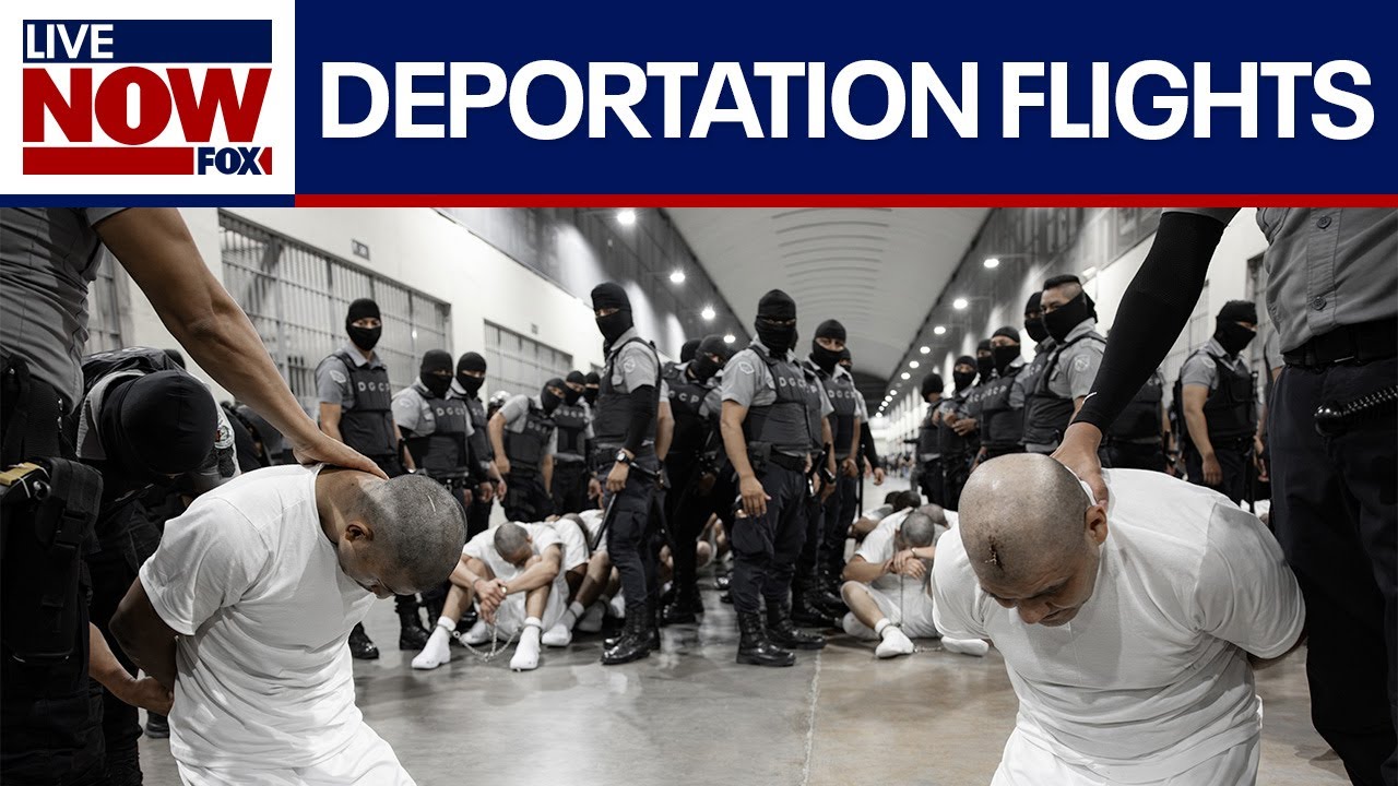 Trump deportations: Did administration violate court order? | LiveNOW from FOX