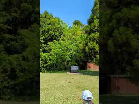 白い屋外カーテン、紫外線保護、雨、風、昆虫、パティオ、テラス、バルコニーを飾る