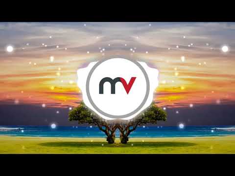 Cartoon x nublu x Gameboy Tetris   Biology || Music Video Channel