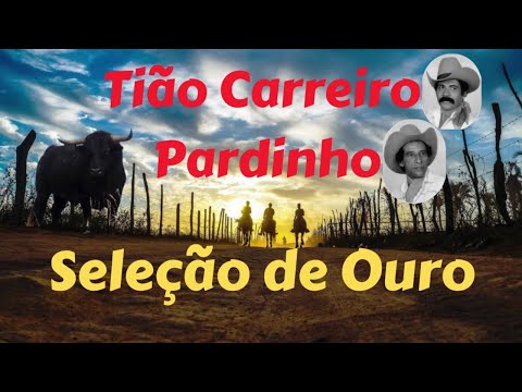 Seleção de Ouro - Tião Carreiro e Pardinho