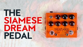 Video thumbnail for Dream Box by Made By Mike - The Siamese Dream pedal by We As A Company