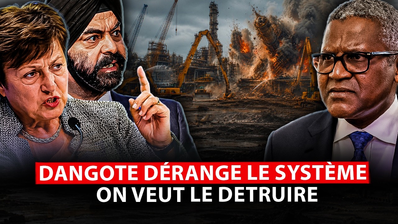 Le FMI s'oppose au projet de raffinerie de DANGOTE, l'Afrique doit rester pauvre