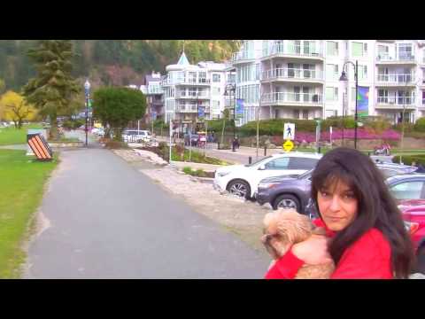 Thumbnail for Porsche 928 cruise to harison by Porsche 928, Porsche