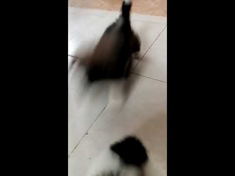 20 de diciembre de 2019