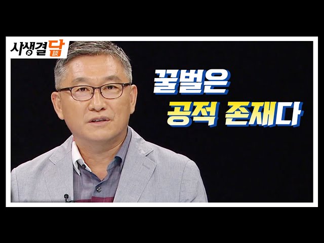 안동MBC 사생결담 - 꿀벌은 공적 존재다(정철의 교수 출연)