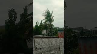 Download lagu musik viral#comedy #music #entertainment #viralshorts mp3 Download lagu musik viral#comedy #music #entertainment #viralshorts mp3
