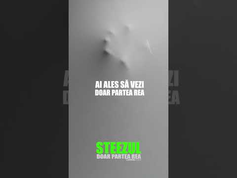 Steezul - Doar partea rea