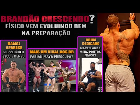 Rafael Brandão maior? ou Mais seco? + Kamal aparece + Rival de Ramon e Alex dos Anjos + Bumstead