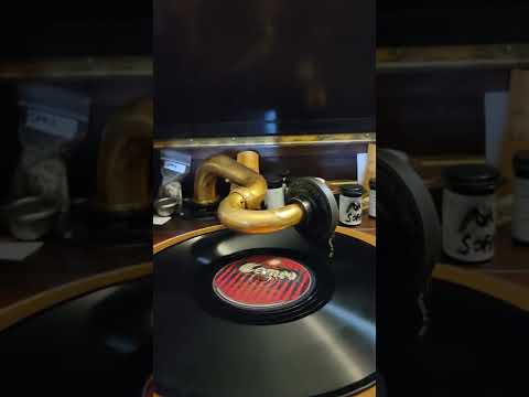 I Wish I Knew - Joe Raymond's Orchestra Cameo Records #273 1922