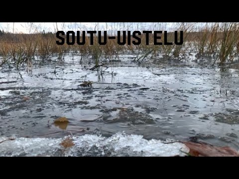 Soutu-uistelu