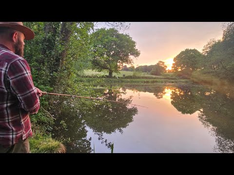 Tench Fishing At Dawn