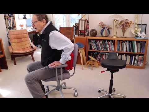 紅巖愛脊椅 : 為什麼我們不需要腰部支撐 (腰靠/背靠) (紅岩愛脊椅 : 為什麼我們不需要腰部支撐 (腰靠/背靠))