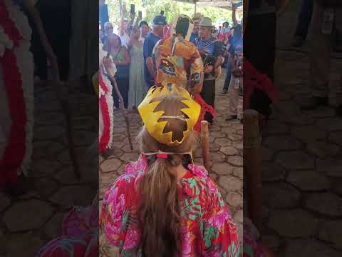 Encontro de Folia de Reis - São José da Varginha/MG.[Grupo Folia de Reis de Córrego do Barro]