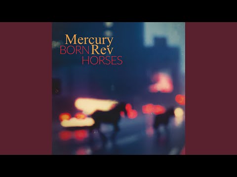 There's Always Been A Bird In Me