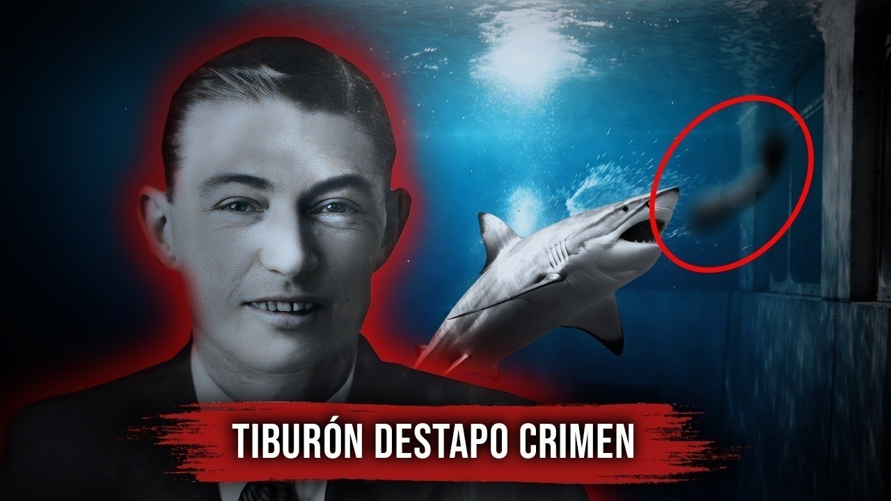 El TIBURÓN que escupió un BRAZ0 y DESTAPÓ un caso criminal terrible en Australia