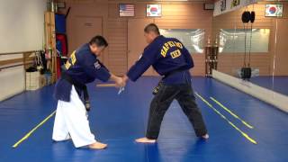 Hapkido Knife Defense 38