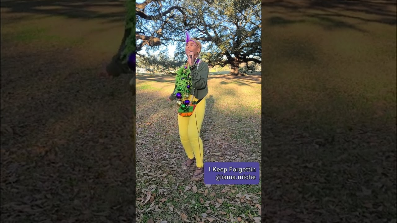 Promotional video thumbnail 2 for A. Miche