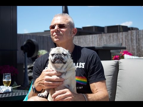 13 Summer BBQ Safety Tips For Dogs From Dr. Sheldon