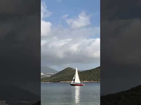 #folkboat