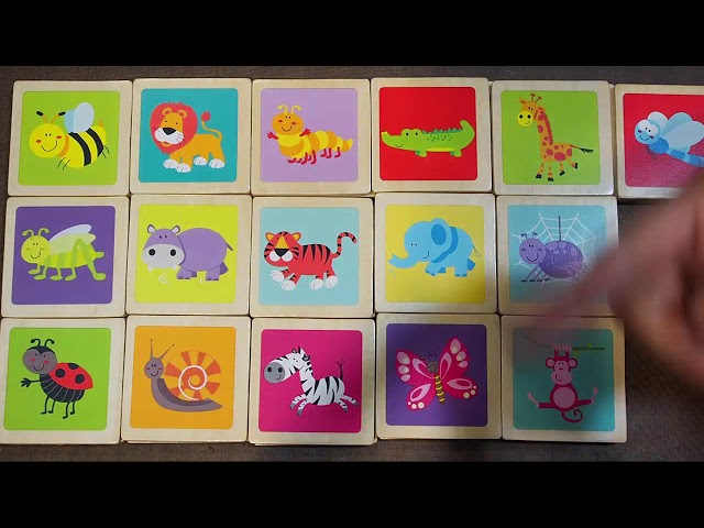 Vídeo relacionado con Rompecabezas de madera para adultos, 200 piezas, rompecabezas de madera de plantas succulentas, rompecabezas de madera con animales para adultos y niños, rompecabezas irregulares y únicos