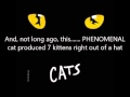 Mr Mistoffelees Lyrics CATS 1998 