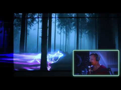 David reagiert auf "METRICKZ - NIKE PULLOVER (prod. X-Plosive)"