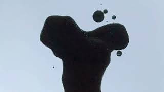 Grateful Dead vs Paul Weller - Casey Moves with the Fayre (Apollo IV Mashup)