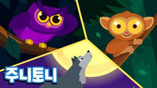 밤이 좋은 동물들 | 어둠 속 동물 세계 | 부엉이, 너구리, 늑대, 안경원숭이 | 야행성 동물 배우기 | 동물동요 | 주니토니 by 키즈캐슬