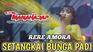 Download lagu RERE AMORA - SETANGKAI BUNGA PADI - NEW MANAHADAP | MITRA AUDIO | REGAS CREW mp3 Download lagu RERE AMORA - SETANGKAI BUNGA PADI - NEW MANAHADAP | MITRA AUDIO | REGAS CREW mp3
