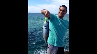 Fishing Mack Tuna on Lure - Currumbin Rocks - Gold Coast
