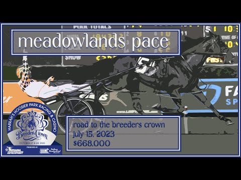 2023 Meadowlands Pace - Confederate - 3CP