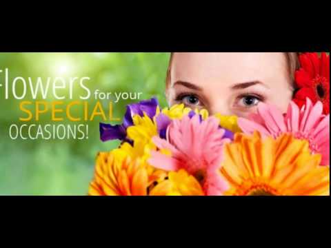 download lagu mp3 mp4 Send Mangoes Online, download lagu Send Mangoes Online gratis, unduh video klip Send Mangoes Online
