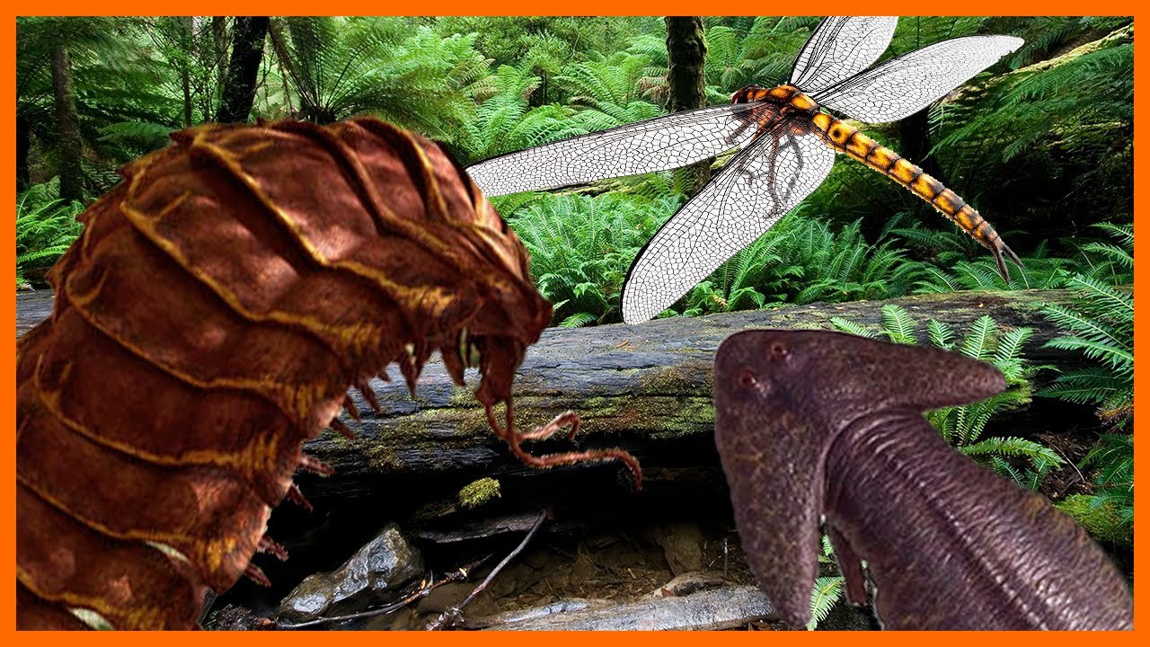 O período CARBONÍFERO: insetos GIGANTES, Amniota, Meganeura, Arthropleura e “Labirintodontes”