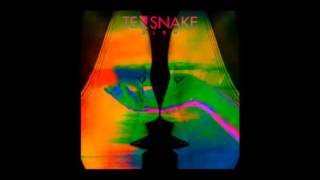 Tensnake - Kill The Time (feat. Fiora)