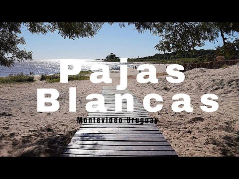 Recorriendo Playa Pajas Blancas |||| Montevideo Uruguay 🇺🇾🧉