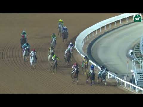RIYADH RACING SEASON MEETING NO 36 RACE NO 11