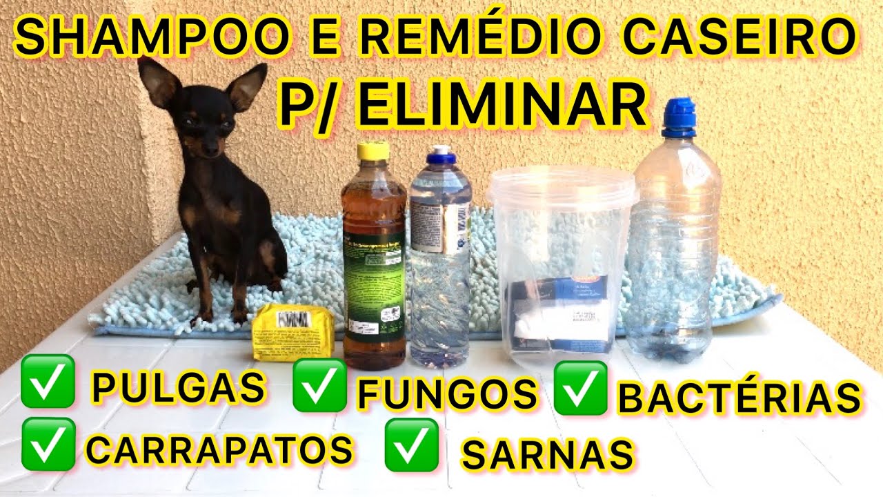 SHAMPOO E REMÉDIO CASEIRO PARA PETS P/ ELIMINAR AS PULGAS, CARRAPATOS, SARNAS E BACTERIAS
