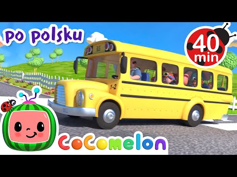 Koła autobusu | CoComelon po polsku | Piosenki dla dzieci