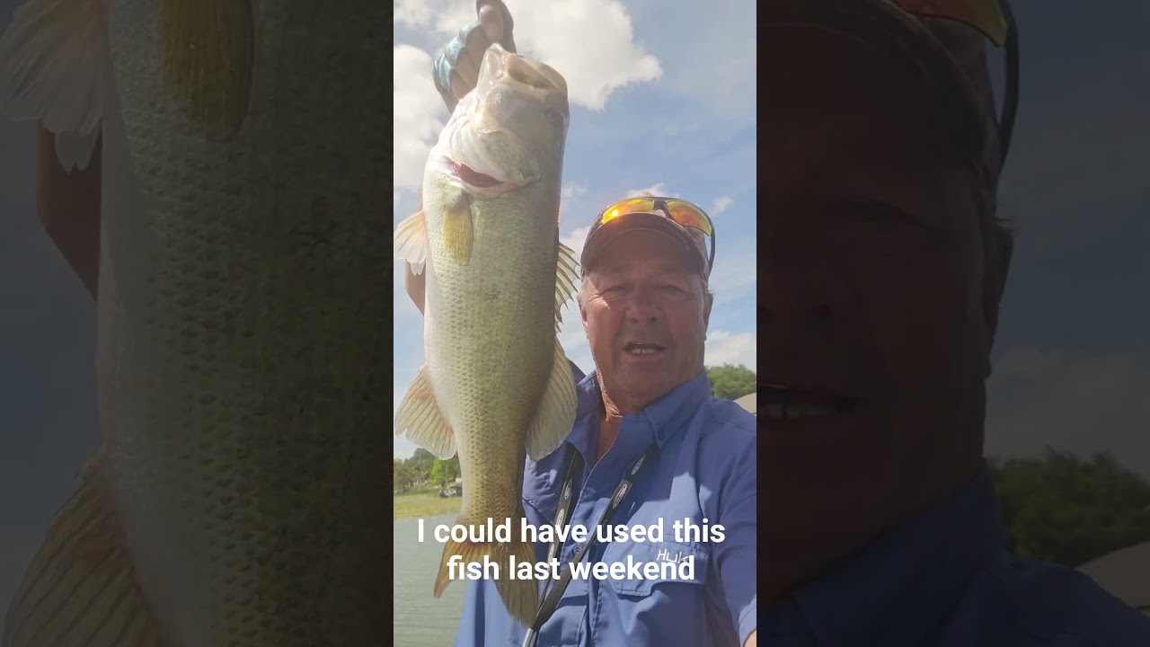 A nice afternoon bite. 3 plus pounds. #DavidMcBrayer #bassfishing #fishing #teamcndfishing