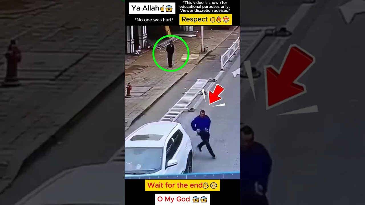 Smart Dog 🥰 Respect 😍 #allah #shorts #doglove #short #respect