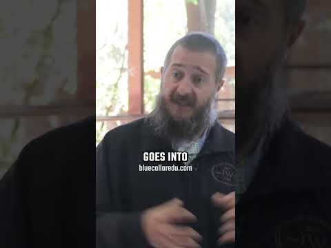 Union VS Non-Union - IW Lu 397 #union #work