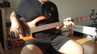 No Doubt - Ache [Bass Cover]