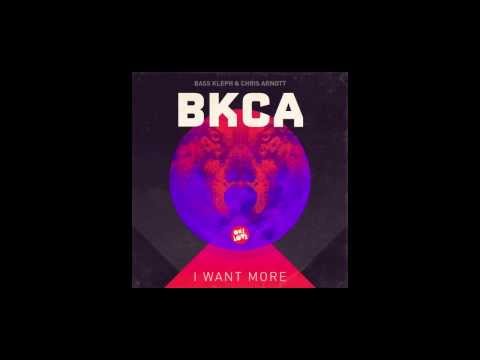 BKCA - I WANT MORE [DOM DOLLA REMIX]